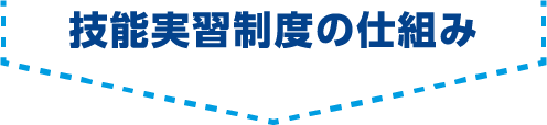 技能実習制度の仕組み